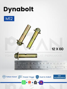 M12X60