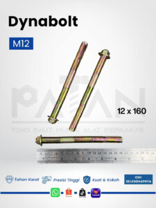 M12X160